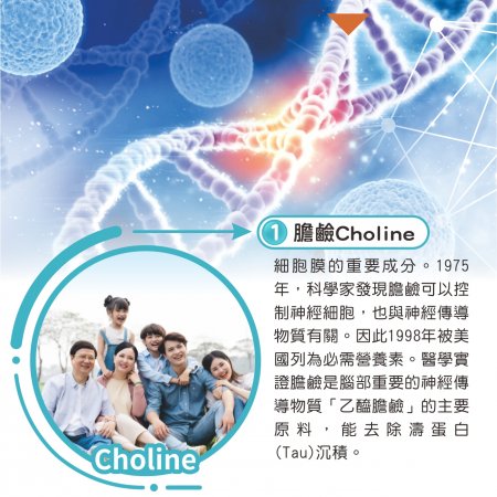 【Hanben 涵本】智見靈 Advanced Brain Choline (15包/盒) 2