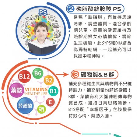 【Hanben 涵本】智見靈 Advanced Brain Choline (15包/盒) 4