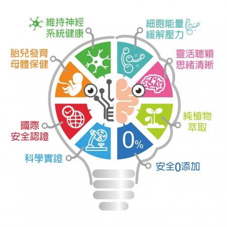 【Hanben 涵本】智見靈 Advanced Brain Choline (15包/盒) 6