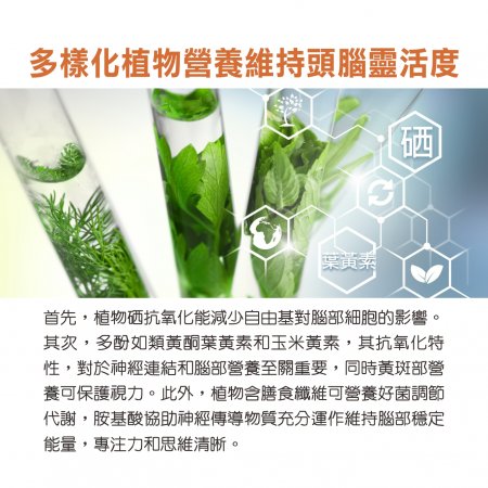 【Hanben 涵本】智見靈 Advanced Brain Choline (15包/盒) 7